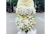 Shop Hoa Tươi Như Ý – Dịch Vụ Hoa Tươi Uy Tín Tại Xã Hiếu Liêm, Bắc Tân Uyên, Bình Dương