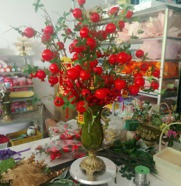 Hoa lan đẹp Hoa lan đẹp