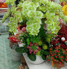 Hoa lan đẹp Hoa lan đẹp