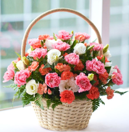 Hoa giỏ Hoa giỏ