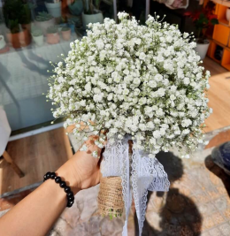 Hoa cô dâu cầm tay Hoa cô dâu cầm tay