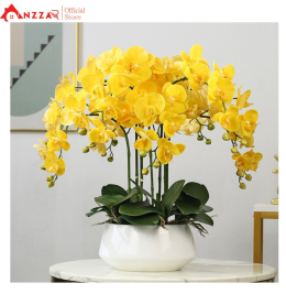LAN HỒ ĐIỆP ĐẸP LAN HỒ ĐIỆP ĐẸP