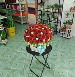 Chậu hoa sáp xinh lung linh Chậu hoa sáp xinh lung linh