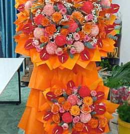 Hoa khai trương đẹp Hoa khai trương đẹp