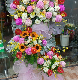 Hoa khai trương đẹp Hoa khai trương đẹp