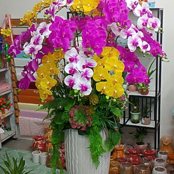 Hoa lan đẹp