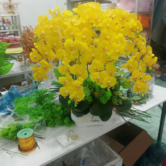 Hoa lan đẹp