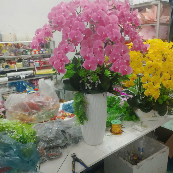 Hoa lan đẹp