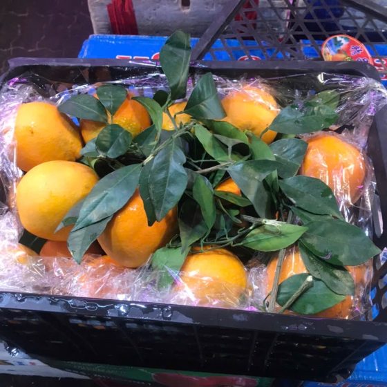 Cam nhập khẩu